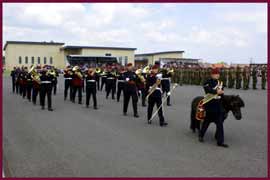 Parachute Regiment Band