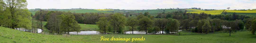 five small drainage ponds